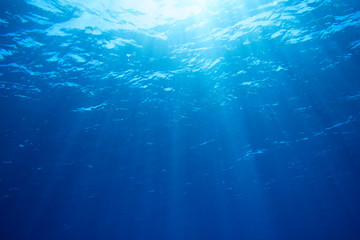 Fototapeta na wymiar Sunbeams in the blue water