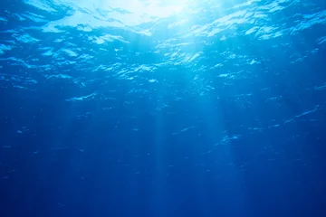 Sunbeams in the blue water © Alexstar