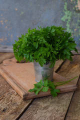 Organic bunch of parsley on wooden background. Spring green herbs