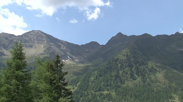 Berg, Tal, Osttirol, Lienz, Villgraten, Stallertal, Arntal, Wei&szlig;e Spitze, Rote Spitze, Fels, Degenhorn, Arntaler Lenke, bl&uuml;hen