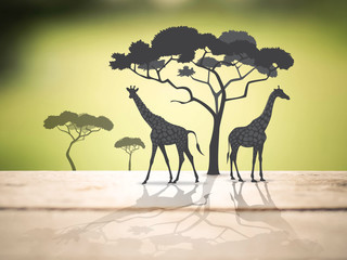 Fototapeta na wymiar giraffe in africa safari
