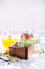 thyme