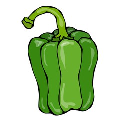 Whole Green Paprika, Bell Pepper or Sweet Bulgarian Pepper . Isolated On a White Background. Realistic and Doodle Style Hand Drawn Sketch Vector Illustration.