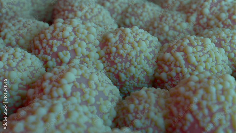 Poster 3d rendered loopable background sequence with organic forms. random spherical forms rotate and moves