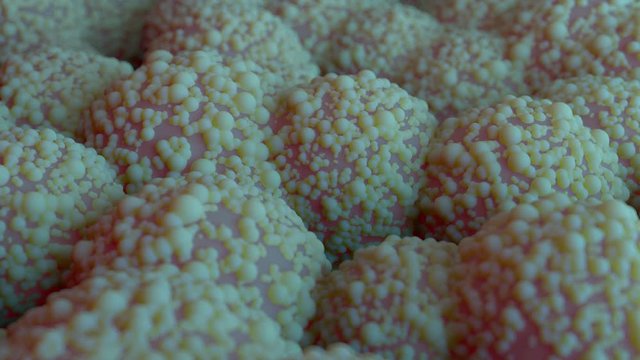 3d rendered loopable background sequence with organic forms. Random spherical forms rotate and moves. Depth of filed.

