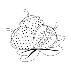 isolated sweet strawberry icon vector illustration graphic design