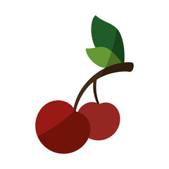 isolated sweet cherry icon vector illustration graphic design