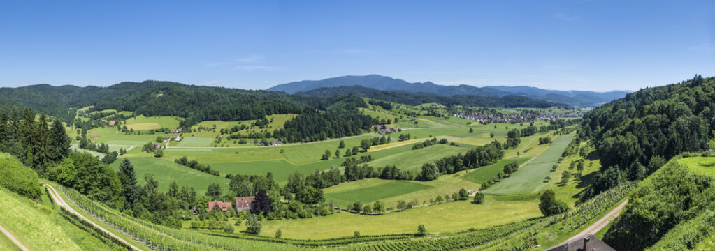panoramic view from the Hochburg Emmendingen
