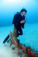 Diver and Anchor.1.