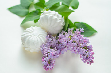 White marshmallow and a twig of lilac on a white background. Fresh spring still life