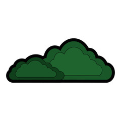 isolated cute bush icon vector illustration graphic design