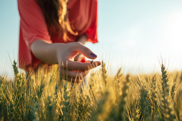 The beauty of nature