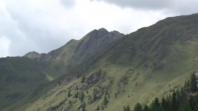 Berg, Tal, Osttirol, Lienz, Villgraten, Stallertal, Arntal, Wei&szlig;e Spitze, Rote Spitze, Fels, Degenhorn, Arntaler Lenke, bl&uuml;hen