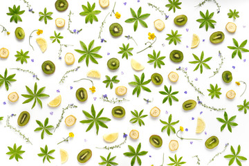 Naklejka premium Wzór owoców. Rośliny i owoce na białym tle. Plasterki kiwi i cytryny z zielonymi liśćmi. Widok z góry. Kwiatowy streszczenie tło.