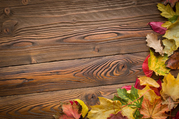 fallen leaves on wooden background, top view, copy space. free space for text