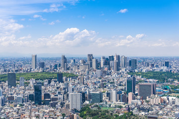 Obraz premium Wieżowce w podcentrum Shinjuku