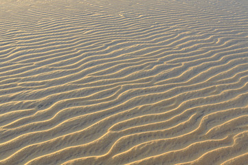 Texture of sand waves. Desert.