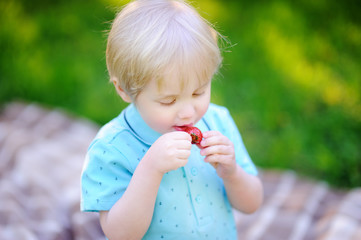 Beautiful little boy eating strawberry during picnic in summer park