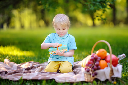 Little boy opening nicely wrapped gift during picnic in sunny park