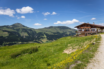 Landschaft mit Berge, Alm und Wiese bei blauem Himmel