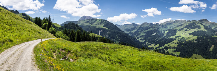 Fototapeta na wymiar Panorama mit Berglandschaft, Strasse und Wiese