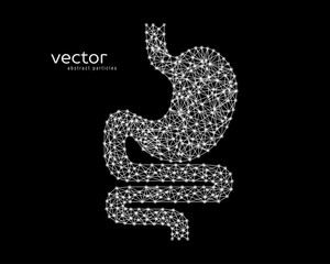 Obraz premium Abstract vector illustration of human stomach.