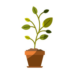 colorful silhouette of plant in flower pot without contour vector illustration
