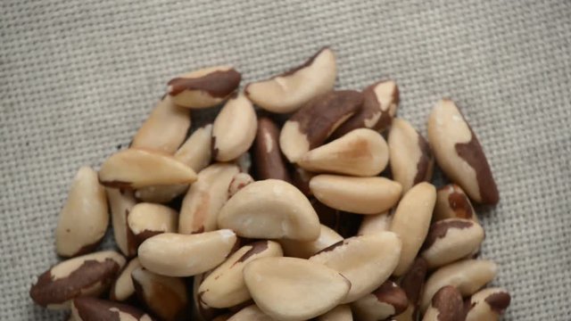 The brazil nut rotates on the turntable.