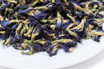 Asian pigeonwings (Clitoria ternatea L.) isolated on white background