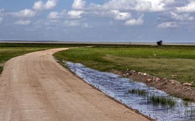 Fototapeta premium The path through the african savanna after the rain