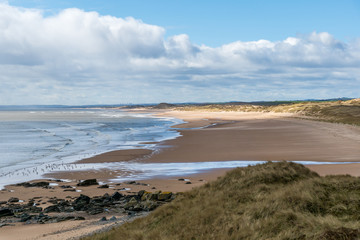 Forvie Sands to Aberdeen.