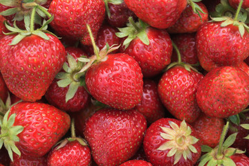 Strawberries close-up