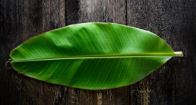 Fototapeta banana leaf on wood