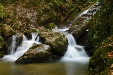Fototapeta premium Wonderful view of a lovely river which across through forest