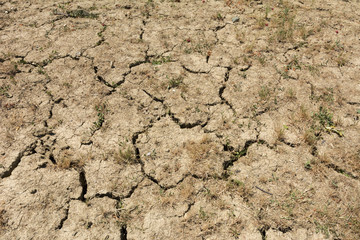 Trockenheit in der Natur