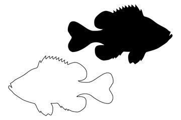 Pumpkinseed Sunfish silhouette vector, (Lepomis gibbosus), 