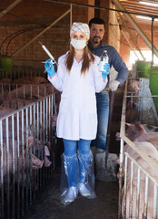 Farmer and veterinarian in pigsty