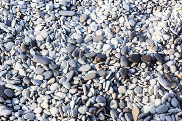 Grey sea pebbles