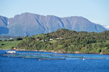 salmon farming in a Norwegian fjord