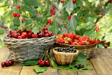 Fototapeta na wymiar Summer gifts: sweet cherry, strawberry and black currant in wicker baskets on wooden desk on background of cherry tree's branches with ripe red berries