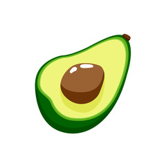 Vector illustration of avocado isolated on white background.