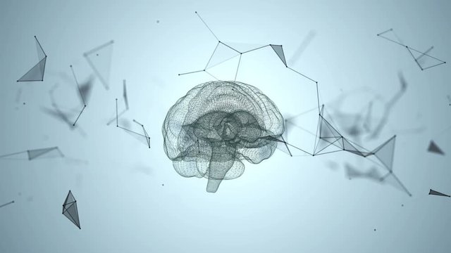 The human brain is formed by spinning particles.
