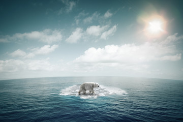 Ours polaire sur une petite banquise au milieu de l'océan - obrazy, fototapety, plakaty