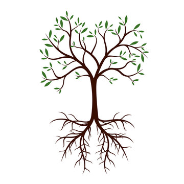 Natural Tree with Leaves and Roots. Vector Illustration.
