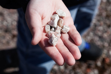 Many small stones are on the palm
