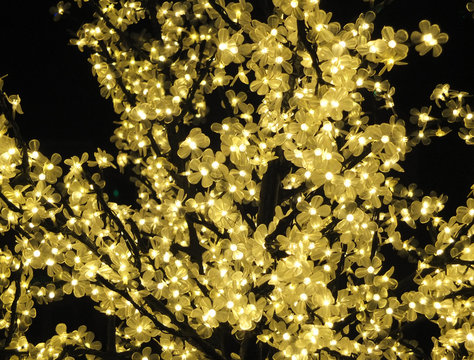 yellow fairy lights wrapped around a tree
