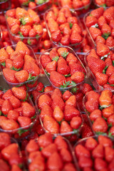 Strawberries on farmer market in Paris, France