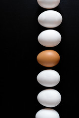 Eggs in the line Chicken eggs White eggs on black background Vertical photo Eggs background Place for text