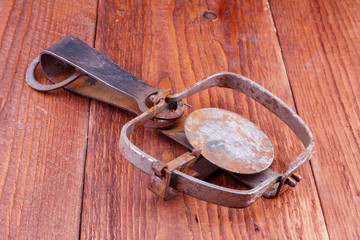Trap on a wooden background