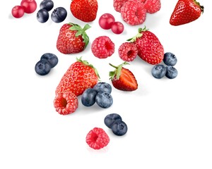 Fruits.